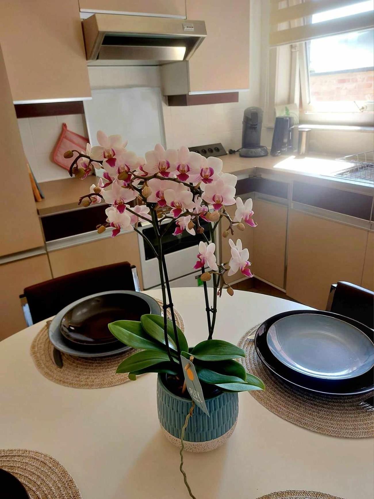 הוילה מאלדכם Huys 34, Uw Thuis Weg Van Huis מראה חיצוני תמונה
